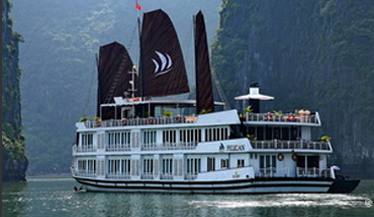 Chào tất cả mọi người!