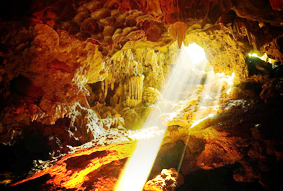 Fighting Cocks Islet